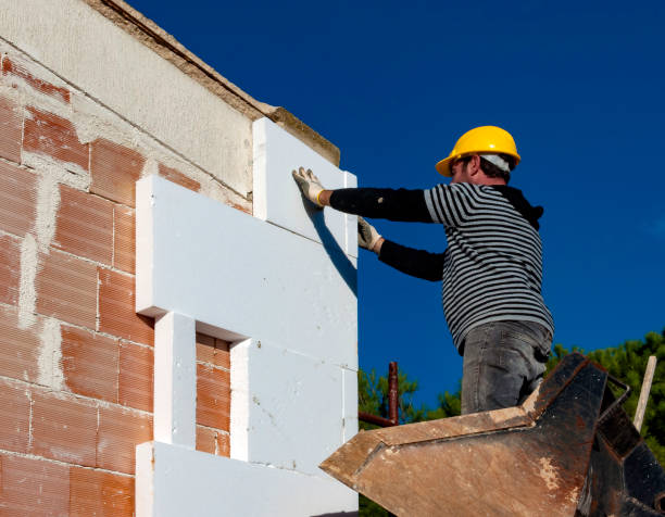 Best Cellulose Insulation  in St Albans, WV