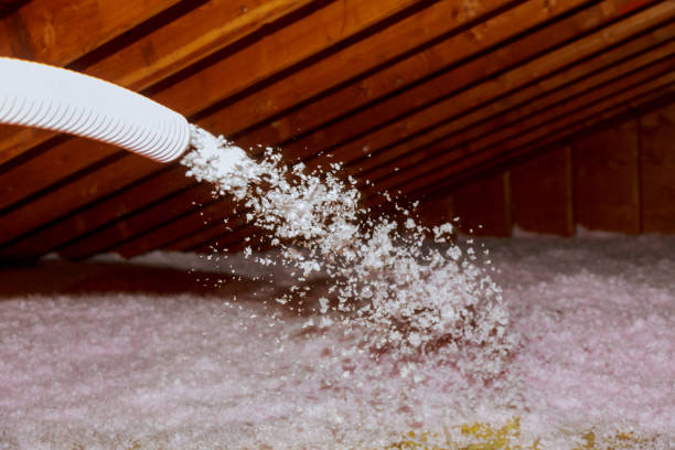 Best Residential Insulation Services  in St Albans, WV