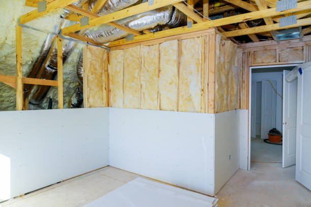 Best Insulation Removal  in St Albans, WV