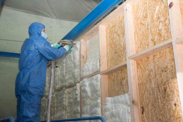 Best Insulation Replacement Services  in St Albans, WV