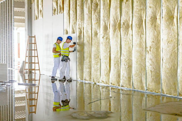 Best Home Insulation Services  in St Albans, WV